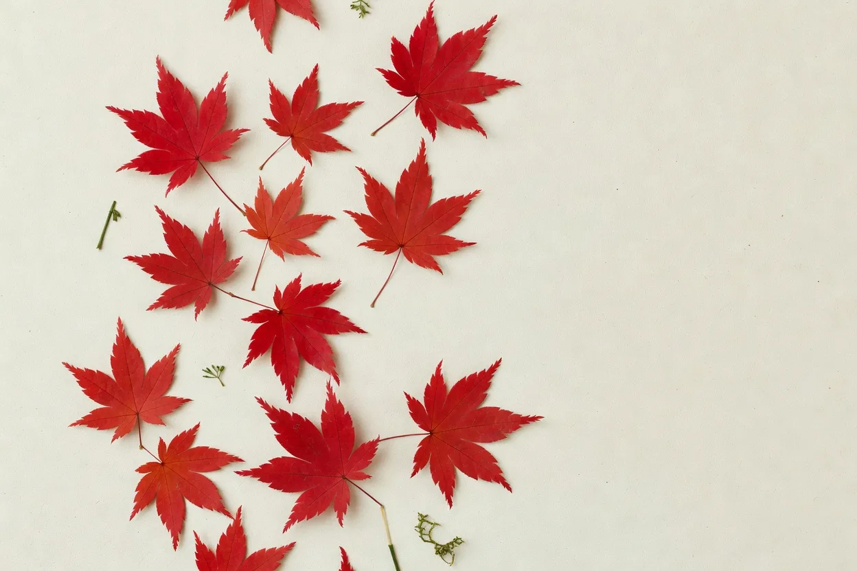 散りばめられた紅葉の葉 - 季節のフローラルアレンジメント